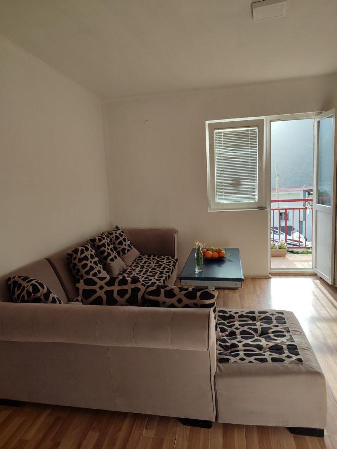 Apartment Pantovic Plužine Eksteriør billede