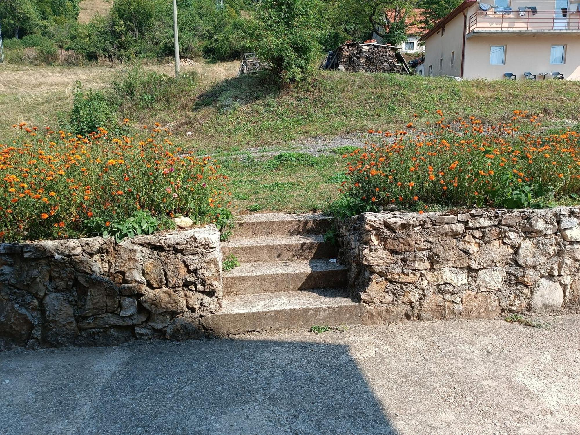 Apartment Pantovic Plužine Eksteriør billede